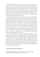 Teismo sprendimo samprata ir bruožai 6 puslapis