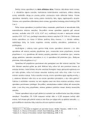 Teismo sprendimo samprata ir bruožai 7 puslapis