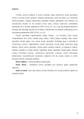 Teismo sprendimo teisinės galios 2 puslapis