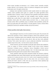 Teismo sprendimo teisinės galios 4 puslapis