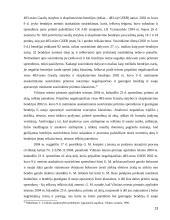 Tretieji asmenys civiliniame procese 13 puslapis