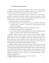 Žyminis mokestis, užstato institutas 3 puslapis