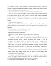 Žyminis mokestis, užstato institutas 5 puslapis