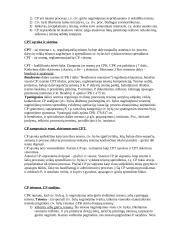 CP ir kitos subjektinių teisių ir interesų gynimo bei ginčų sprendimo formos 2 puslapis