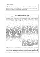 Draudimo bendrovių lyginamoji analizė: "PZU Lietuva" ir "Lietuvos draudimas" 6 puslapis