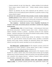 Civilinės teisės sankcijos  20 puslapis