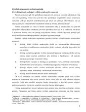Civilinės teisės sankcijos  3 puslapis