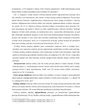 LR civilinis kodeksas ir kitu įstatymų normų kolizija 13 puslapis