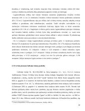 LR civilinis kodeksas ir kitu įstatymų normų kolizija 14 puslapis