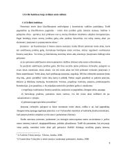 LR civilinis kodeksas ir kitu įstatymų normų kolizija 3 puslapis