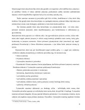 LR civilinis kodeksas ir kitu įstatymų normų kolizija 6 puslapis