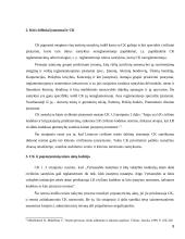 LR civilinis kodeksas ir kitu įstatymų normų kolizija 8 puslapis