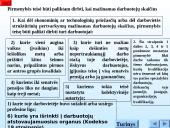 Darbo sutarties sąlygos 12 puslapis