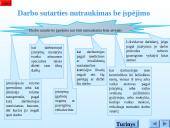 Darbo sutarties sąlygos 13 puslapis