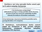 Darbo sutarties sąlygos 14 puslapis