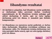 Darbo sutarties sąlygos 3 puslapis