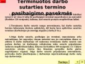 Darbo sutarties sąlygos 5 puslapis