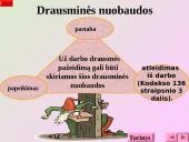 Darbo sutarties sąlygos 7 puslapis