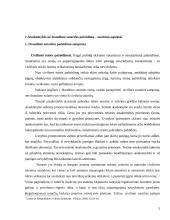 Atsakomybė už draudimo sutarties pažeidimą 3 puslapis