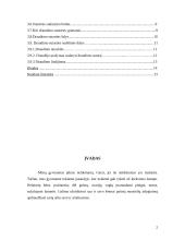 Draudimas kaip dvišalis sandoris 2 puslapis