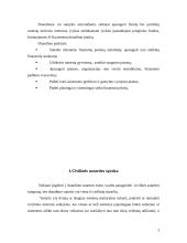 Draudimas kaip dvišalis sandoris 3 puslapis