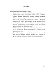Draudimo internetu ypatumai Lietuvoje bei užsienyje  13 puslapis