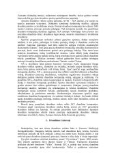 Draudimo sąvoka ir apibrėžimas 4 puslapis