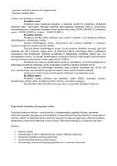 Draudimo istorija  12 puslapis