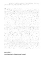 Draudimo istorija  7 puslapis