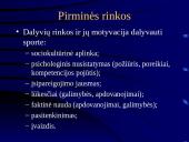 Sporto industrijos analizė 12 puslapis