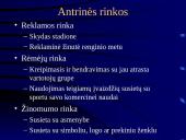 Sporto industrijos analizė 15 puslapis