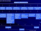 Sporto industrijos analizė 16 puslapis