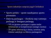 Sporto industrijos analizė 17 puslapis