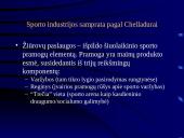 Sporto industrijos analizė 18 puslapis