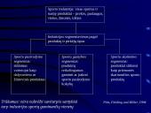 Sporto industrijos analizė 20 puslapis