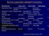 Sporto industrijos analizė 3 puslapis