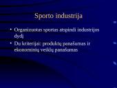 Sporto industrijos analizė 5 puslapis