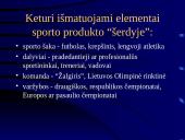 Sporto industrijos analizė 7 puslapis