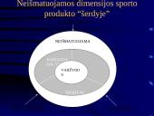 Sporto industrijos analizė 10 puslapis