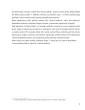 Įmonės civilinės teisės subjektas ir objektas 2 puslapis