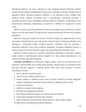 Įmonės civilinės teisės subjektas ir objektas 13 puslapis