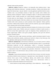 Įmonės civilinės teisės subjektas ir objektas 15 puslapis