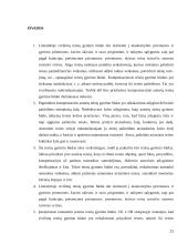 Kompensacinių autoriaus teisių gynimo būdų samprata 11 puslapis