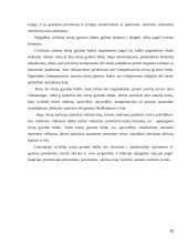 Kompensacinių autoriaus teisių gynimo būdų samprata 10 puslapis