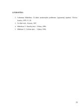 Kompensacinių teisių gynymo būdai 13 puslapis