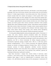 Kompensacinių teisių gynymo būdai 4 puslapis