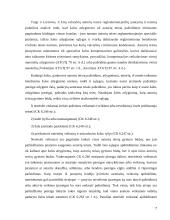 Kompensacinių teisių gynymo būdai 7 puslapis