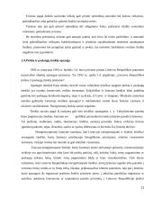 Plačiai žinomo prekės ženklas 11 puslapis