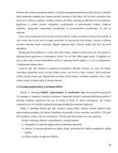 Plačiai žinomo prekės ženklas 12 puslapis