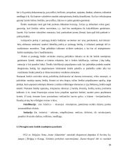 Plačiai žinomo prekės ženklas 15 puslapis